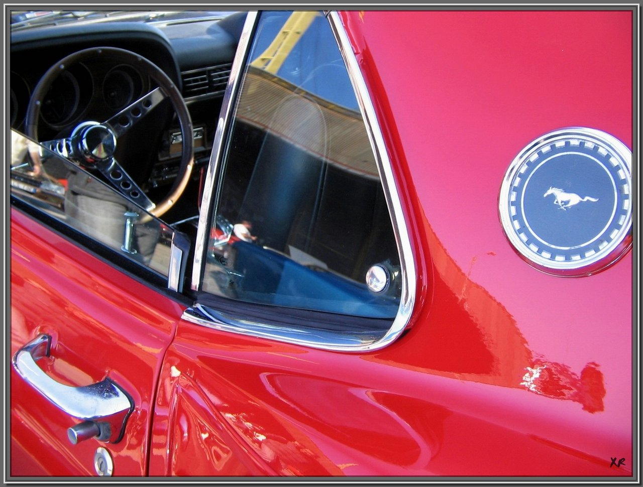 Mustang-2.jpg